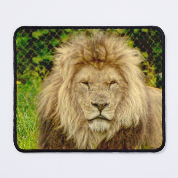 Item preview, Lion designed and sold by jalfc46.