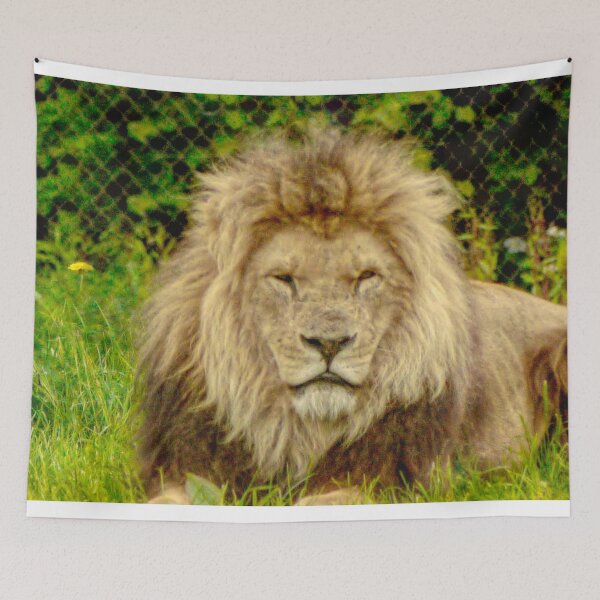 Item preview, Lion designed and sold by jalfc46.
