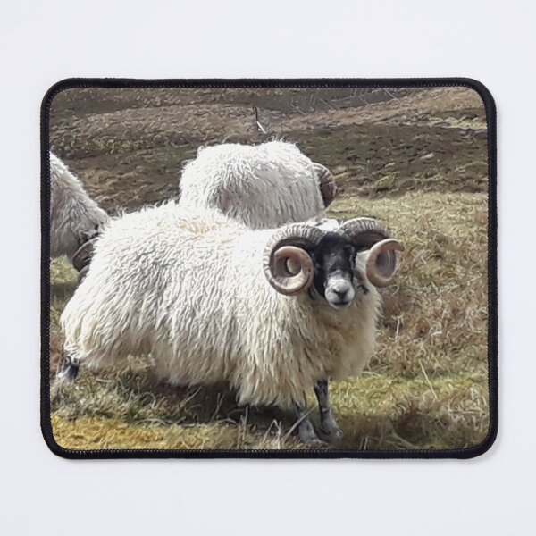 Item preview, Moffat Ram designed and sold by beavo.