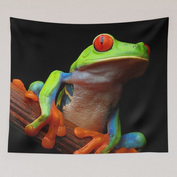 Item preview, Red Eyed Tree Frog designed and sold by Anthony Goldman.
