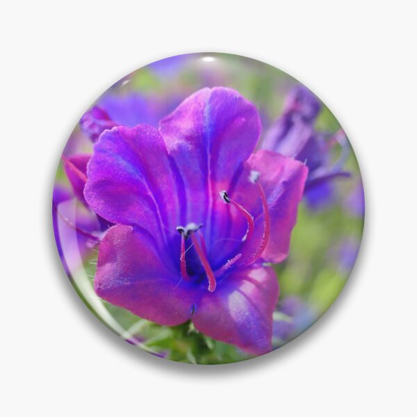 Item preview, Violet-blue splendor designed and sold by ChicVoyagePics.