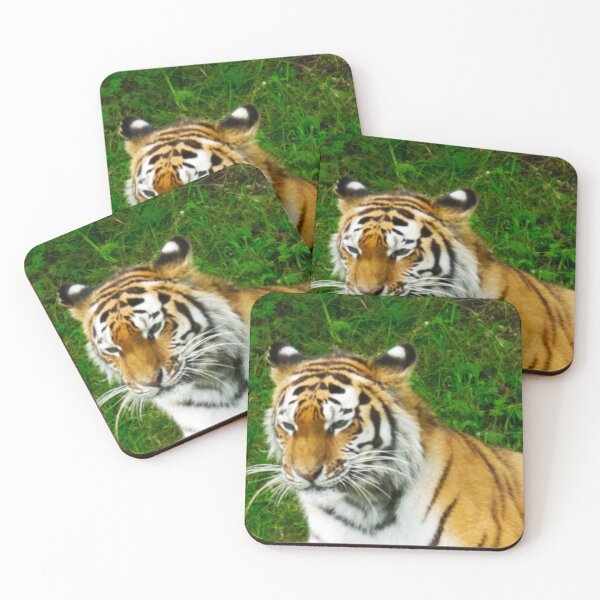 Item preview, Thinking Tiger designed and sold by jalfc46.