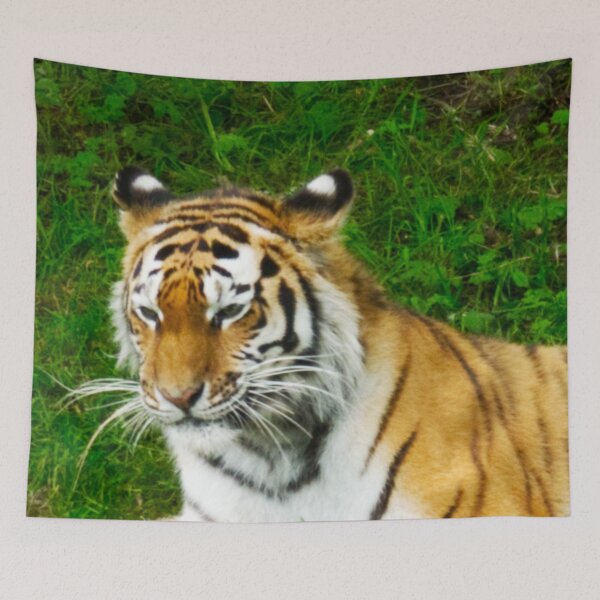 Item preview, Thinking Tiger designed and sold by jalfc46.