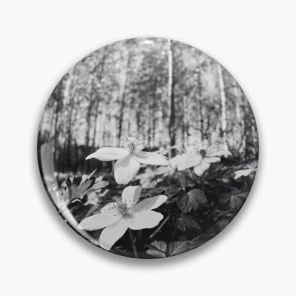 Item preview, Wood Anemone forest 2024 2 designed and sold by Jouko Lehto Photography.