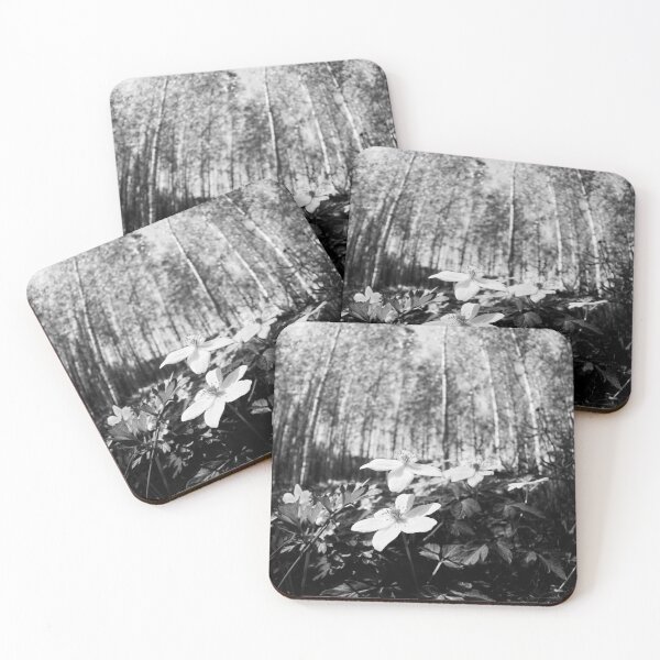 Item preview, Wood Anemone forest 2024 2 designed and sold by Jouko Lehto Photography.