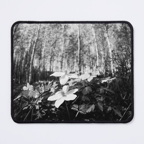 Item preview, Wood Anemone forest 2024 2 designed and sold by Jouko Lehto Photography.