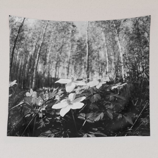 Item preview, Wood Anemone forest 2024 2 designed and sold by Jouko Lehto Photography.