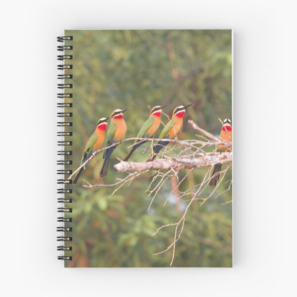 Item preview, Tanzania - White-fronted Bee-eater Birds designed and sold by photophantom.