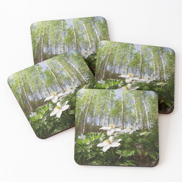 Item preview, Wood Anemone forest 2024 2 designed and sold by Jouko Lehto Photography.