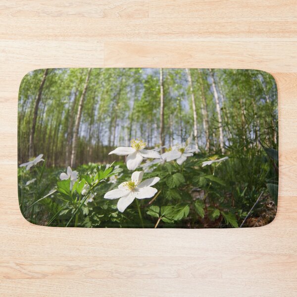 Item preview, Wood Anemone forest 2024 2 designed and sold by Jouko Lehto Photography.
