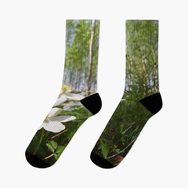 Item preview, Wood Anemone forest 2024 2 designed and sold by Jouko Lehto Photography.