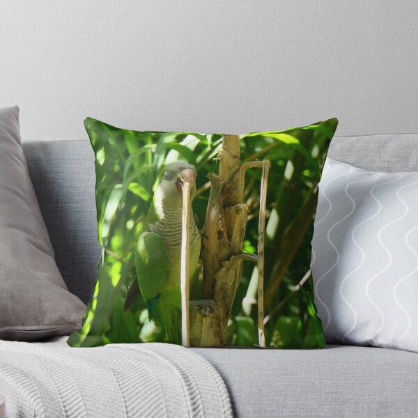 Item preview, Periquito monje sobre una palmera  designed and sold by ChicVoyagePics.
