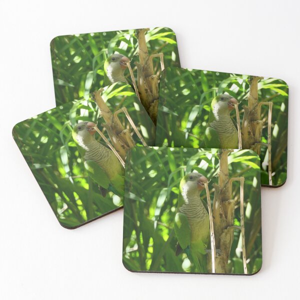 Item preview, Cute monk parakeet on a palm tree designed and sold by ChicVoyagePics.