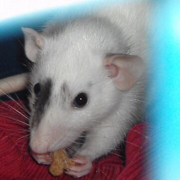 Artwork thumbnail, Merlin the rat by lham