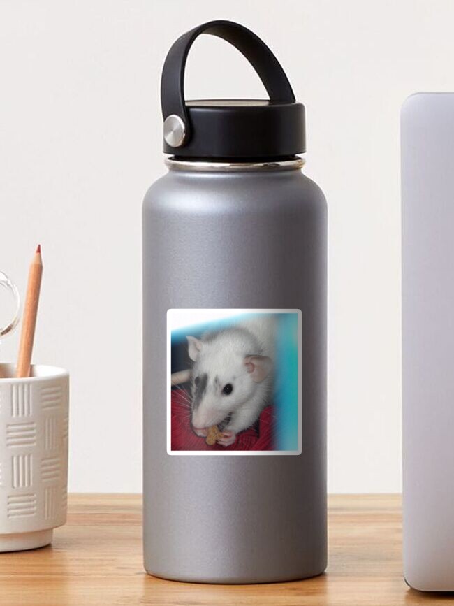 Thumbnail 1 of 3, Sticker, Merlin the rat designed and sold by lham.