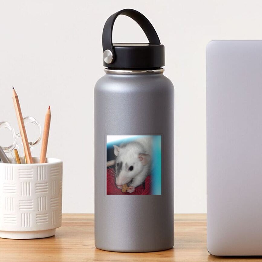 Item preview, Transparent Sticker designed and sold by lham.