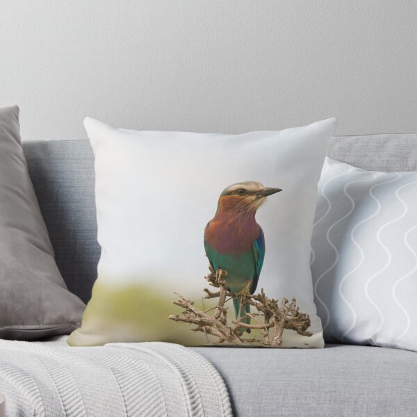 Item preview, Tanzania - Lilac-breasted roller bird designed and sold by photophantom.