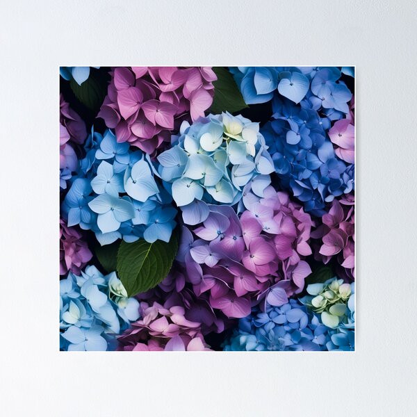 Item preview, Hydrangeas flowers designed and sold by LTP-imagery.