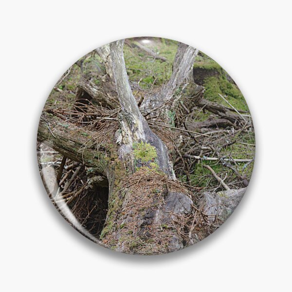 Item preview, Old fallen tree alongside a nature trail designed and sold by NatureGems.