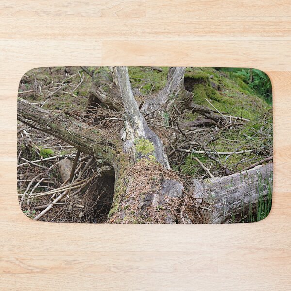 Item preview, Old fallen tree alongside a nature trail designed and sold by NatureGems.