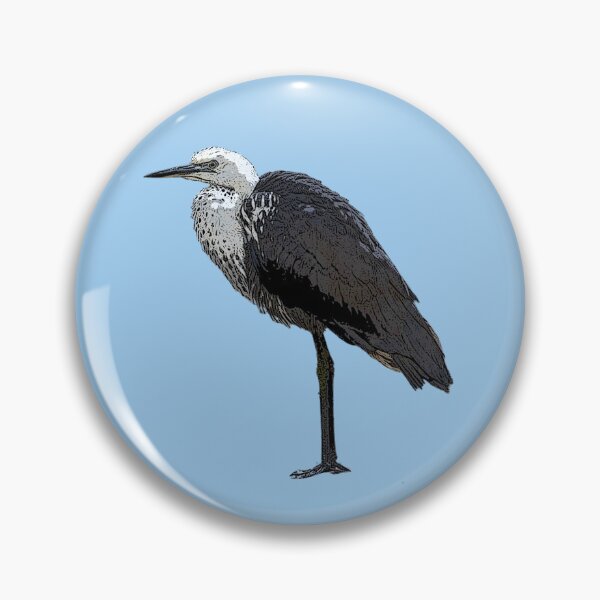 Item preview, Pacific White-necked Heron Color Design  designed and sold by designsasstultd.