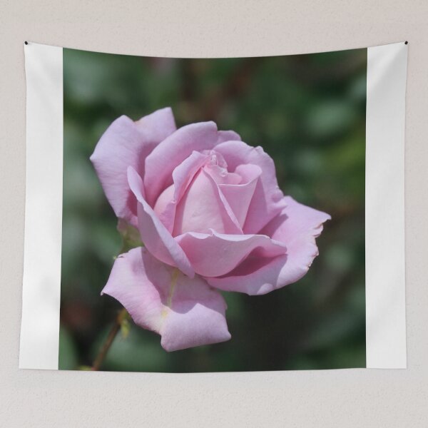 Item preview, Purple rose on nature background designed and sold by olena2552.