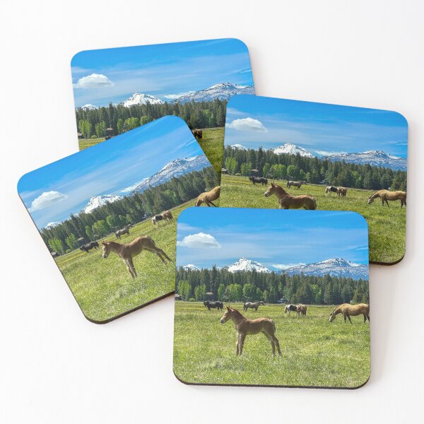 Item preview, The Beauty of Black Butte Ranch designed and sold by SavingMemories.