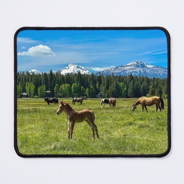 Item preview, The Beauty of Black Butte Ranch designed and sold by SavingMemories.