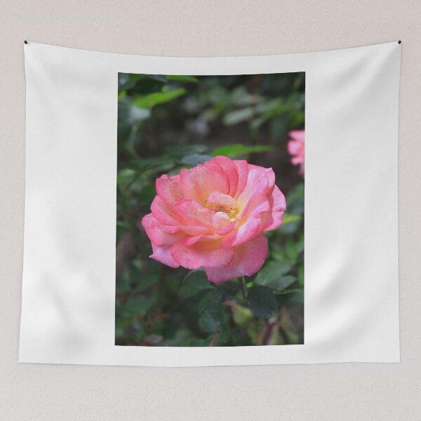 Item preview, Pink rose on nature background designed and sold by olena2552.