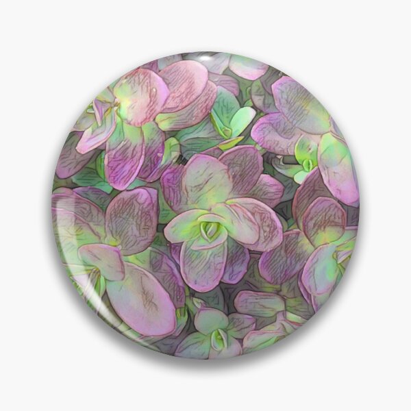 Aperçu de l'œuvre Succulente 1  créée et vendue par O-Time.