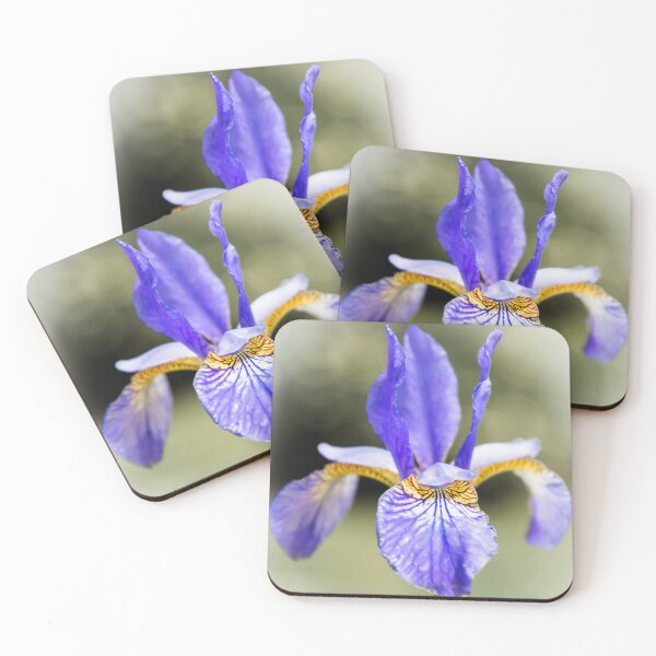 Item preview, Iris designed and sold by JEZ22.
