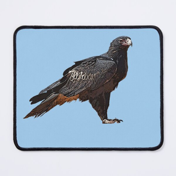 Item preview, Wedge-tailed Eagle Color Design designed and sold by designsasstultd.