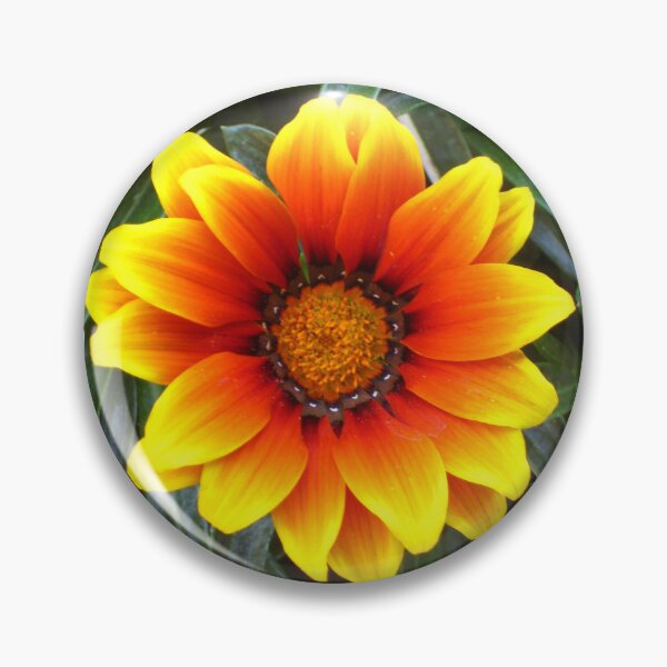 Item preview, Fireburst Gazania in Vibrant Orange and Yellow with Green Leaves designed and sold by JoyousArt4u.