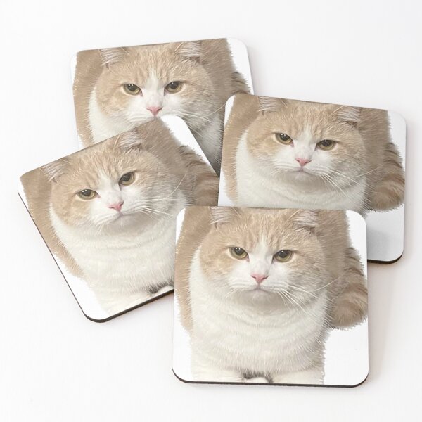 Item preview, Wise cat designed and sold by observation.