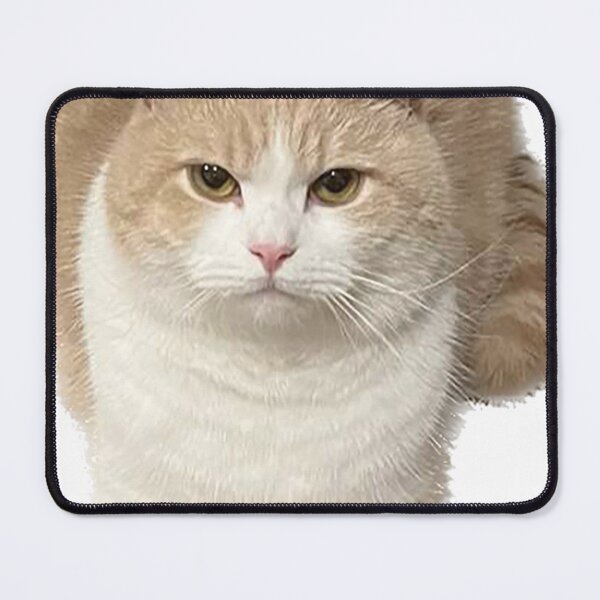 Item preview, Wise cat designed and sold by observation.