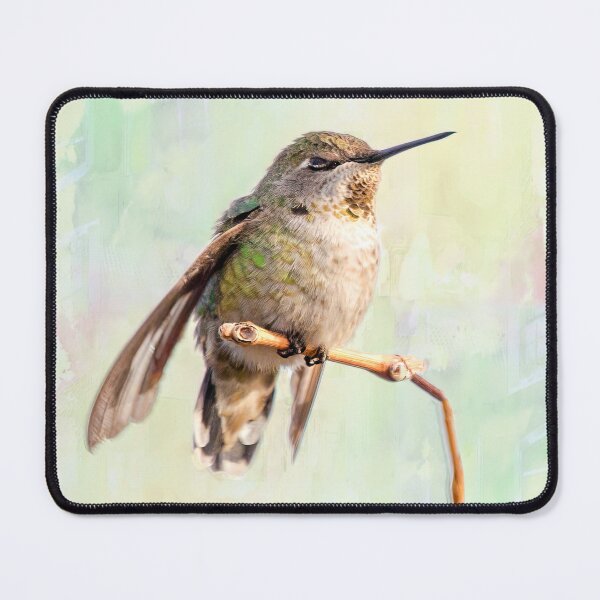 Item preview, Hummingbird Resting Its Wings  designed and sold by CarolM.