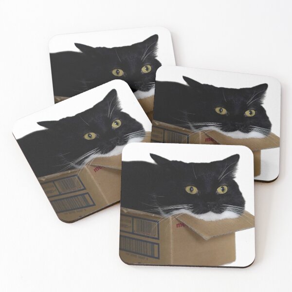Item preview, Black cat in box designed and sold by observation.