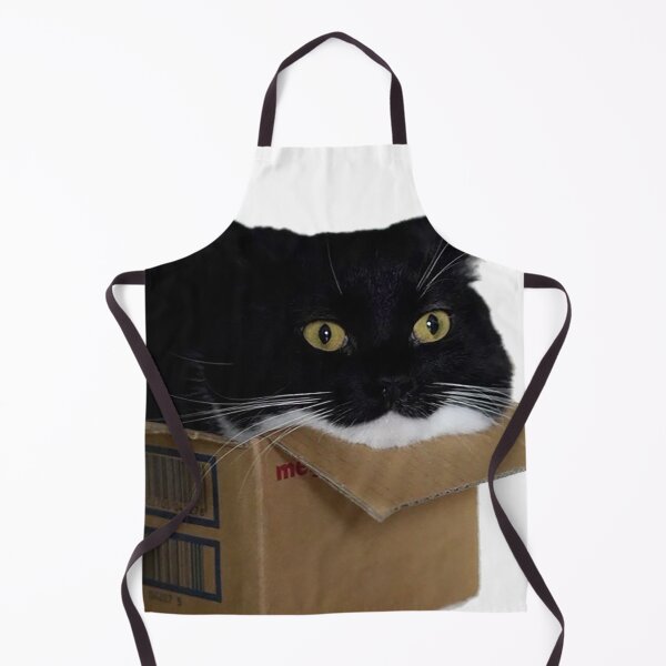 Item preview, Black cat in box designed and sold by observation.