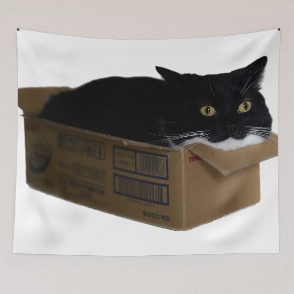 Item preview, Black cat in box designed and sold by observation.