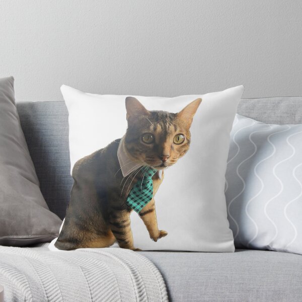 Item preview, Cat wearing green tie designed and sold by observation.