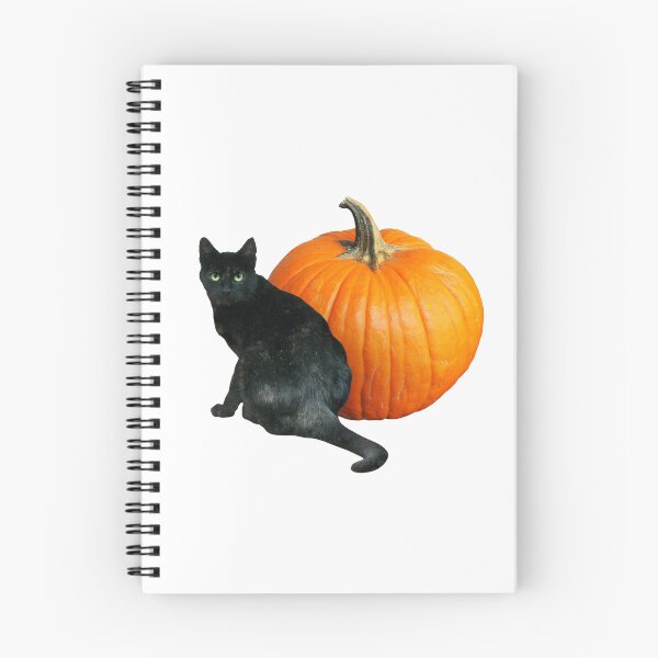 Item preview, Gato Negro con Calabaza designed and sold by catsclips.