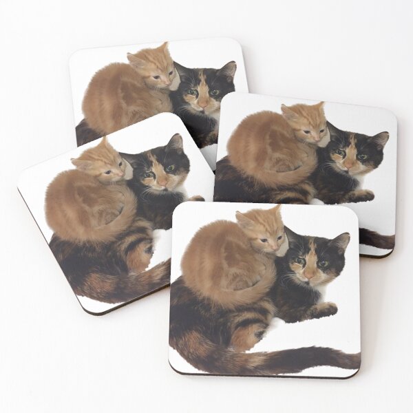 Item preview, Cat and kitten designed and sold by observation.