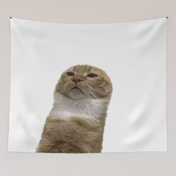 Item preview, Cat meme designed and sold by observation.