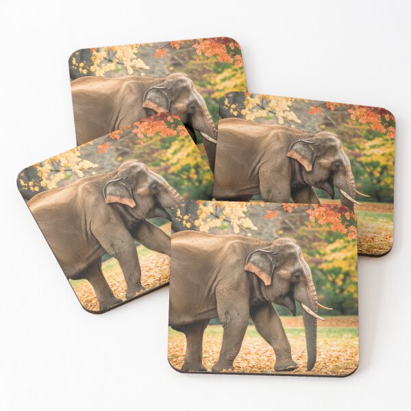 Artikelvorschau, Elefantenporträt. Elefantenfoto, Herbstsaison, lebendiger Elefant, Vintage-Elefant entworfen und verkauft von ElephantVibes.