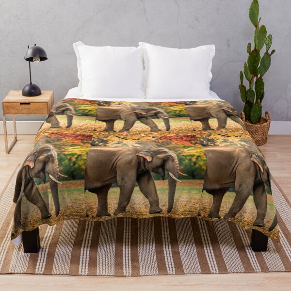 Artikelvorschau, Elefantenporträt. Elefantenfoto, Herbstsaison, lebendiger Elefant, Vintage-Elefant entworfen und verkauft von ElephantVibes.