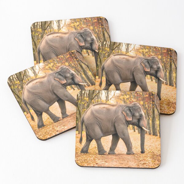 Artikelvorschau, Elefantenporträt. Elefantenfoto, Herbstsaison, lebendiger Elefant, Vintage-Elefant entworfen und verkauft von ElephantVibes.
