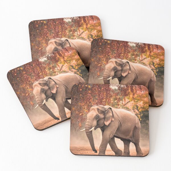 Artikelvorschau, Elefantenporträt. Elefantenfoto, Herbstsaison, lebendiger Elefant, Vintage-Elefant entworfen und verkauft von ElephantVibes.