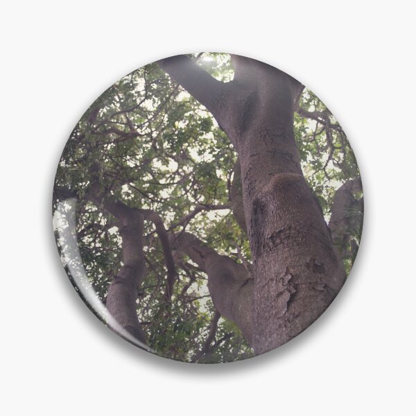 Item preview, Climb That Tree © Vicki Ferrari designed and sold by Vicki Ferrari Photography.