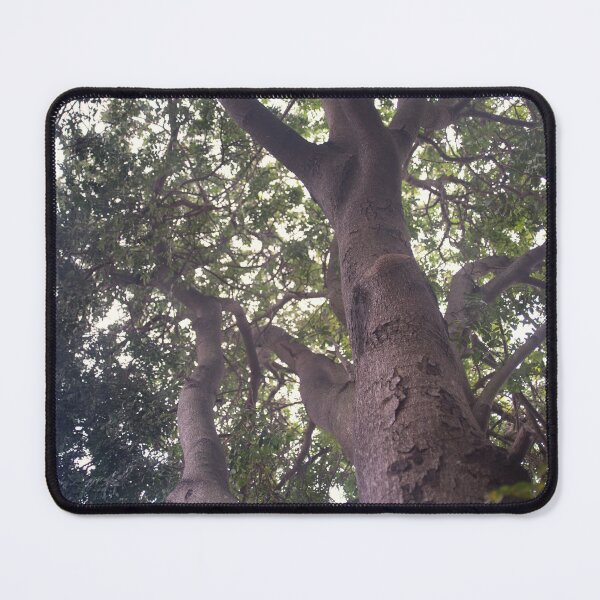 Item preview, Climb That Tree © Vicki Ferrari designed and sold by Vicki Ferrari Photography.