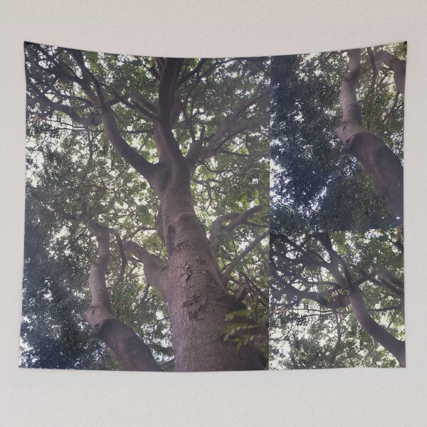Item preview, Climb That Tree © Vicki Ferrari designed and sold by Vicki Ferrari Photography.